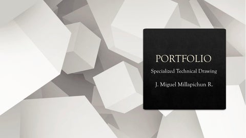 PORTFOLIO MIGUEL MILLAPICHUN R.