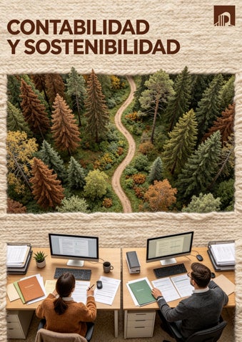 CONTABILIDAD SOSTENIBLE