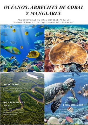 Revista Digital 1