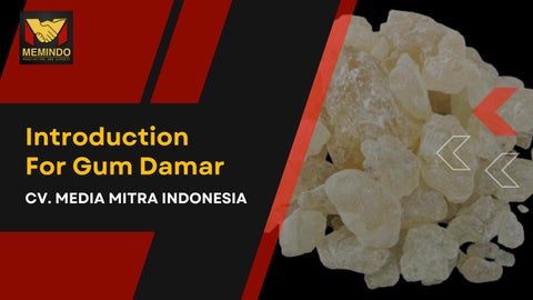 Introduction for Gum Damar / Dammar Gum