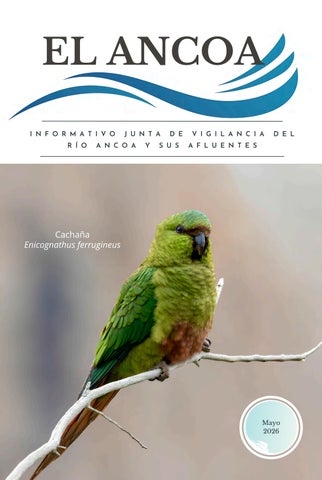 El Ancoa. Informativo N° 196/año 26