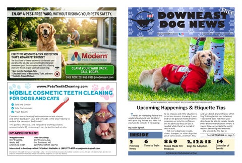 DowneastDog_July 2026