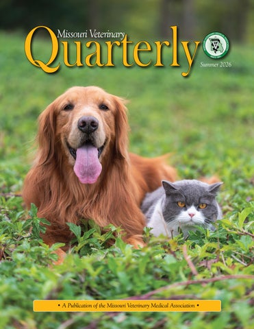 MVMA Quarterly Summer 2026