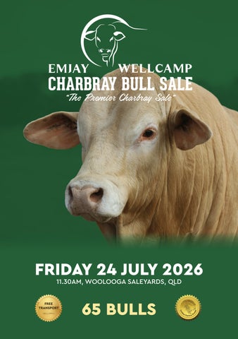 2026 Emjay Wellcamp Charbray Bull Sale Catalogue