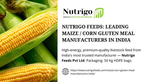 Nutrigo Feeds Leading Maize  Corn Gluten Meal Manufacturers in India