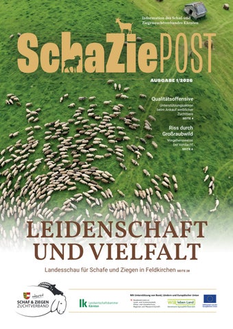 SchaZiePost Ausgabe 06/2026