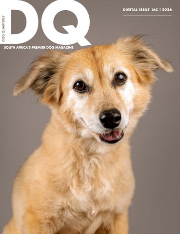 DQ Magazine Issue 16C