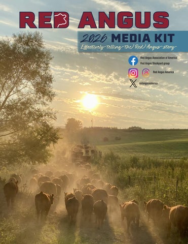 Red Angus Media Kit - 2026