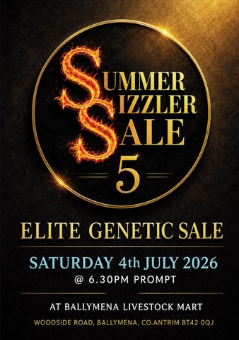 SUMMER SIZZLER SALE 5