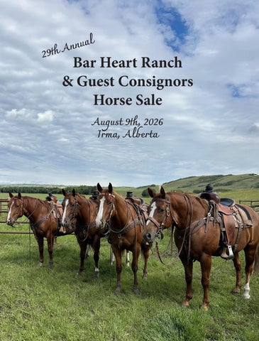 29th Annual Bar Heart Ranch Horse Sale 