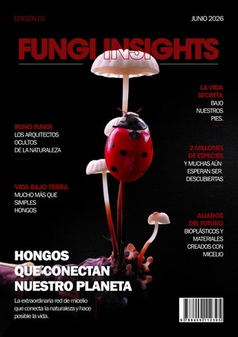 Reino Fungi Revista
