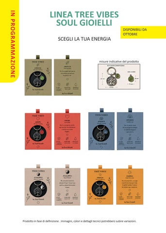 PROGRAMMAZIONE 第 4 页
