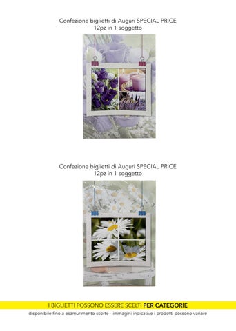 CATALOGO Special Price 第 19 页