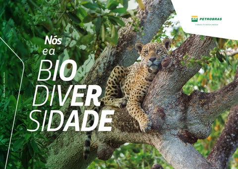 Nós e a Biodiversidade 2025
