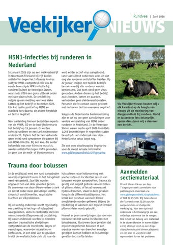Veekijkernieuws rund juni 2026