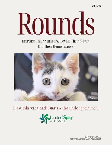 ROUNDS-USA 2026 SLM