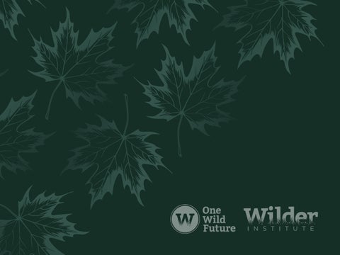 One Wild Future - Wilder Institute