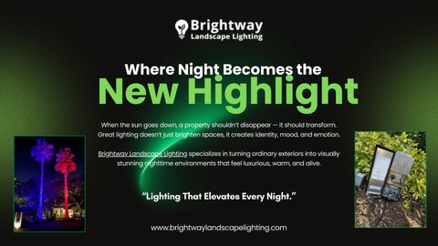 Premium Outdoor Landscape Lighting for Florida Homes