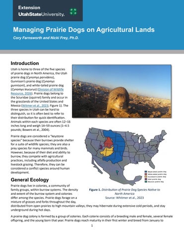 Managing Prairie Dogs on Agricultural Lands