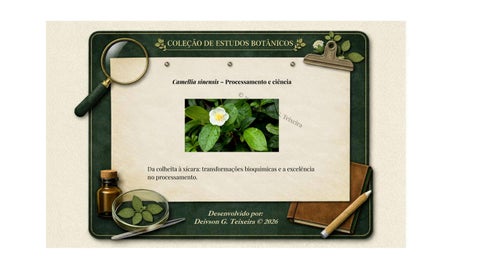 Camellia sinensis: Guia Técnico de Botânica e Processamento - por Deivson G. Teixeira – Volume 2