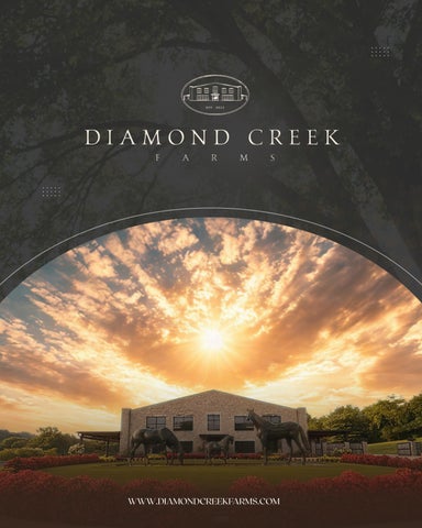 Diamond Creek Pricing