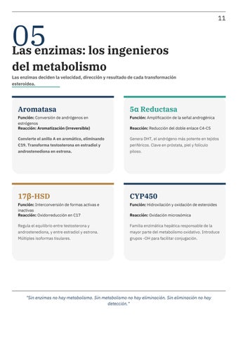 Revista Metabolismo de esteroides anabolizantes2