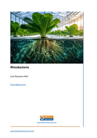 Rhizobacteria