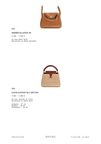Hermès × 轻奢 Bags | 8.07.2026 第 9 页