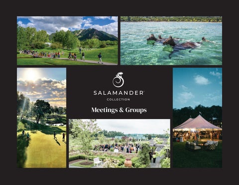 Salamander Collection Meeting Brochure 2026