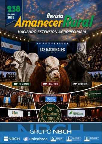 REVISTA AMANECERRURAL 238