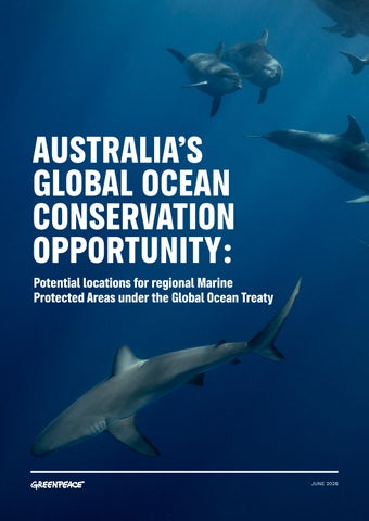 Australia’s Global Ocean Conservation Opportunity