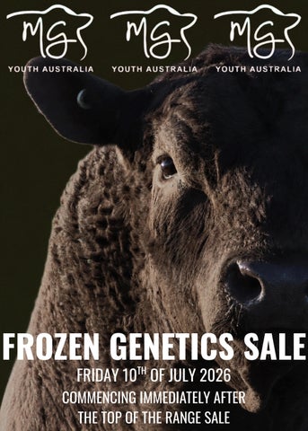 Murray Grey Youth 2026 TOTR Frozen Genetics Sale Catalogue