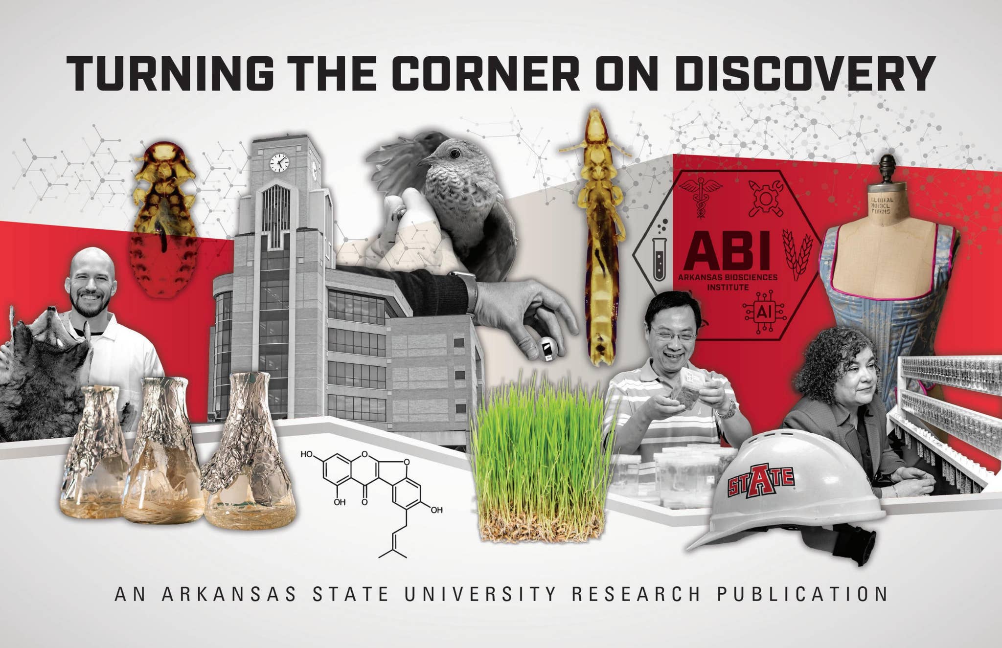 Turning the Corner on Discovery Research Publication by Arkansas State ...