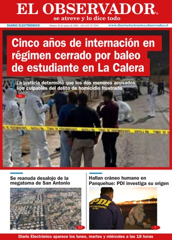 diario-electronico_300626