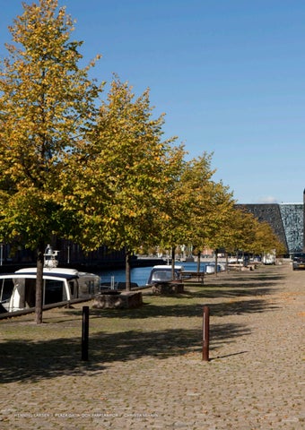 Ljus i stadsmiljön - SE 第 4 页
