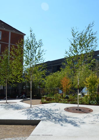 FloraForm Tree grates and planters 第 4 页