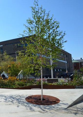 FloraForm Tree grates and planters 第 5 页