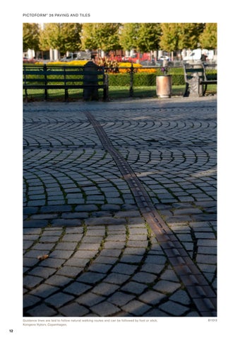 Pictoform® 英国 第 12 页