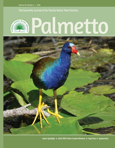 Palmetto Vol. 42(2)