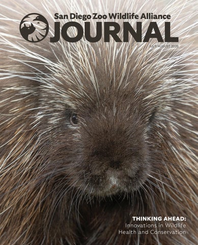San Diego Zoo Wildlife Alliance Journal July 2026