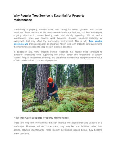 Why Regular Tree Service Is Essential for Property Maintenance