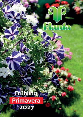 2027_Frühjahrskatalog_IT