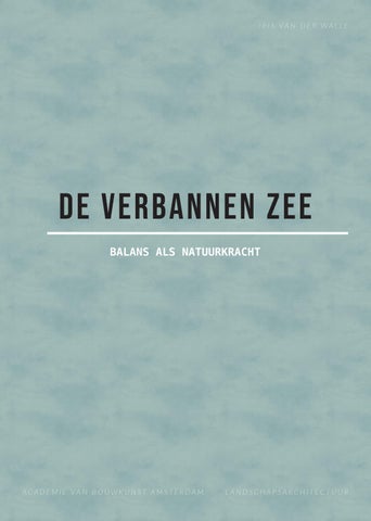 DE VERBANNEN ZEE - Iris van der Walle 