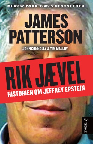Rik jævel historien om Jeffrey Epstein : ti år senere