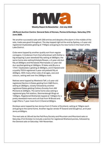 NWA NEWSLETTER 030726