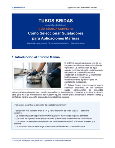 Cómo Seleccionar Sujetadores para Aplicaciones Marinas