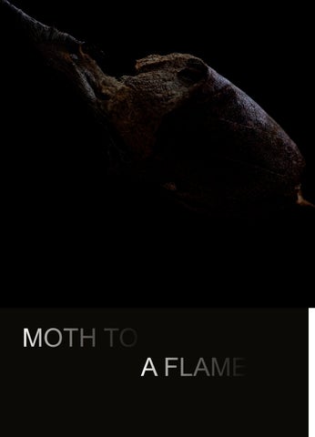 my imagemaking book
