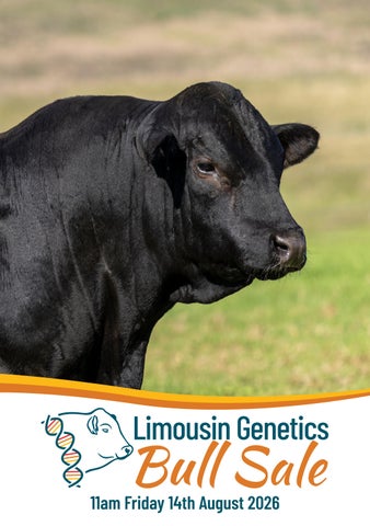 2026 Limousin Genetics Bull Sale Catalogue