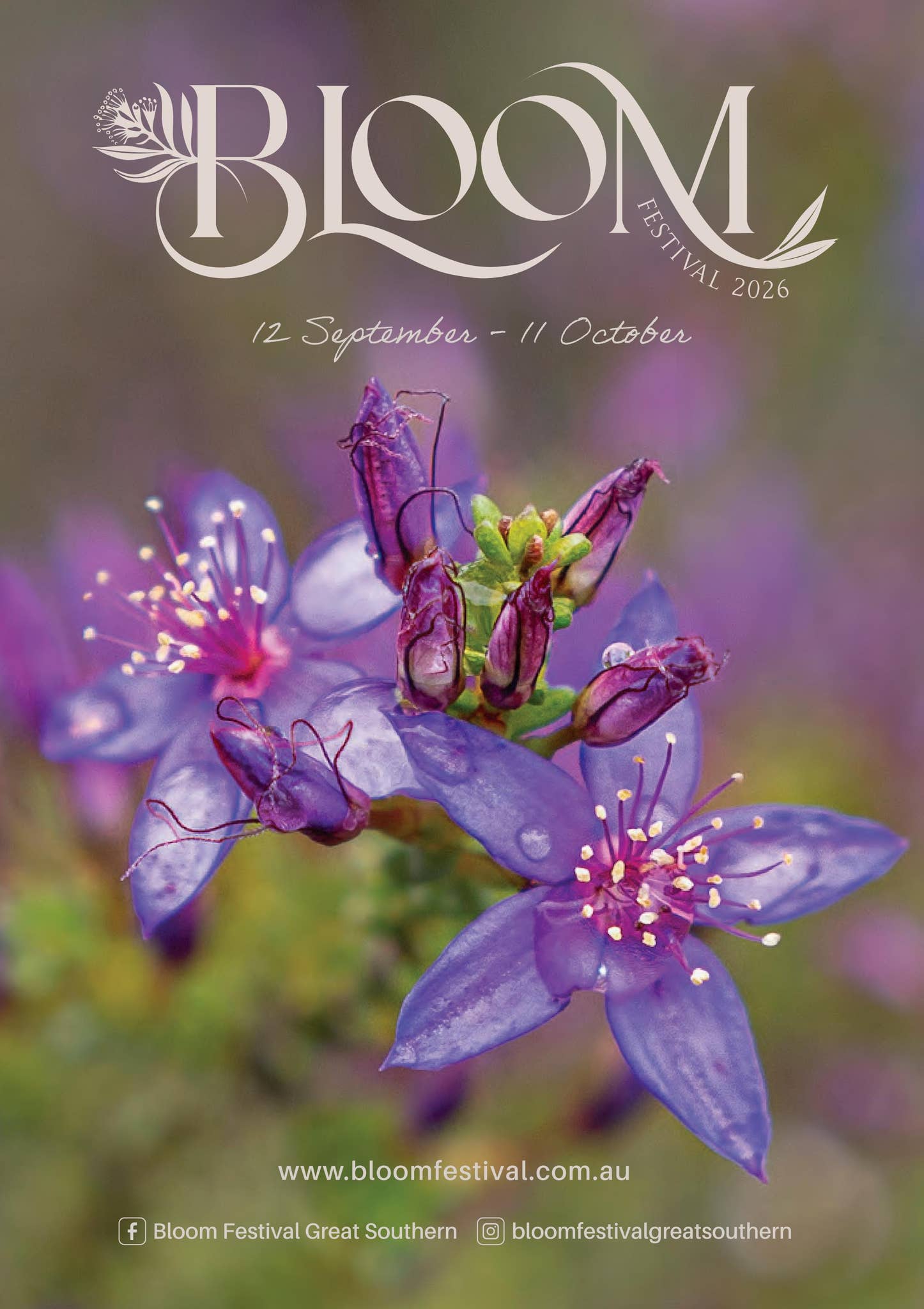 Bloom Festival 2026 Program by greatsoutherntreasures - Issuu