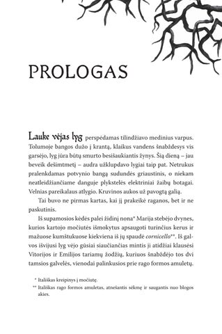 Nedorųjų karalystė. Pirma knyga